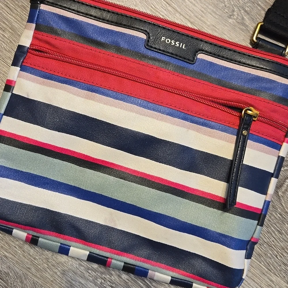 Fossil Striped Crossbody Bag